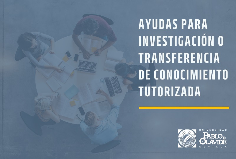 Convocatoria de ayudas para Investigación o Transferencia de Conocimiento Tutorizada