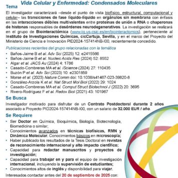 Contrato Investigador/a Postdoctoral