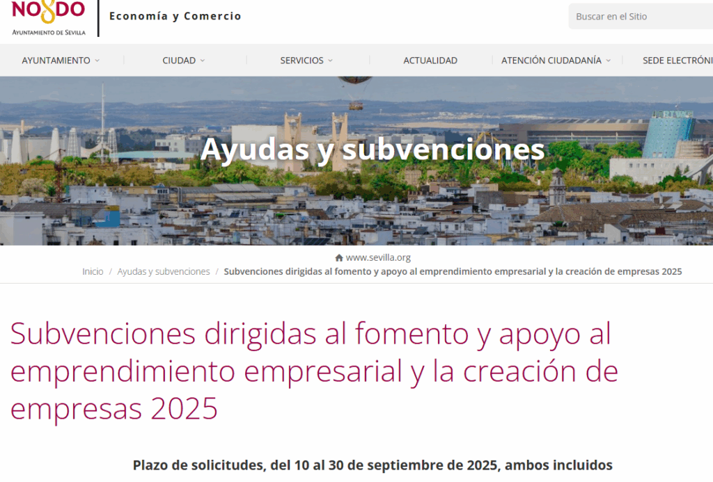 Convocatoria dirigida al fomento y apoyo al emprendimiento empresarial y la creación de empresas. Año 2025
